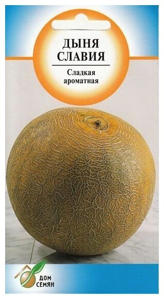 Дыня Славия 10 семян