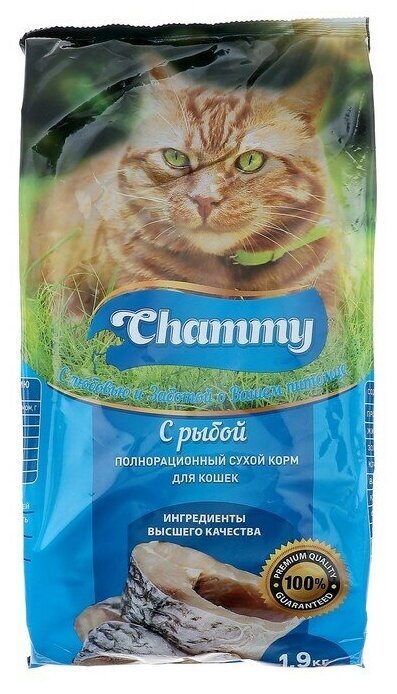 Полнорационный сухой корм Chammy для кошек с рыбой, 1.9кг - фотография № 3