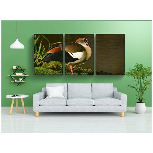 фото Набор модулных постеров для интерьера "нил гусь, водоплавающая птица, животное" 60x90 см. в тубусе, без рамки lotsprints