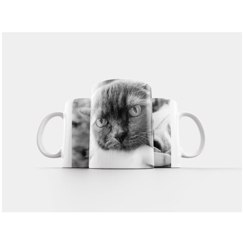 фото Кружка "кот, рука, голова" 320 мл lotsprints