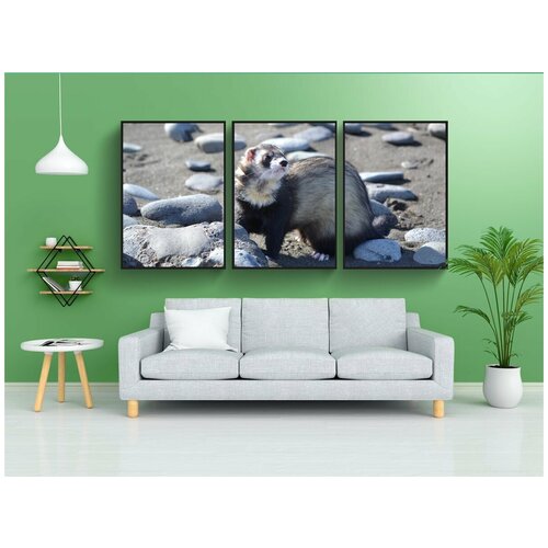 фото Набор модулных постеров для интерьера "гурон, улетает, домашние питомцы" 60x90 см. в тубусе, без рамки lotsprints