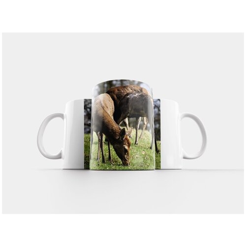 фото Кружка "олень, животные, дикая природа" 320 мл lotsprints