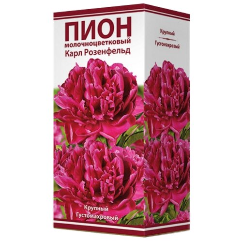 Пион ПОИСК молочноцветковый Карл Розенфельд, 1 шт, малиновый/красный пион корневище карл розенфельд 1 почка