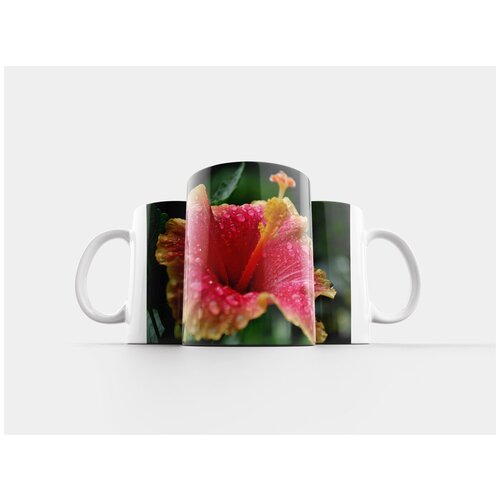 фото Кружка "цветок, цвести, завод" 320 мл lotsprints