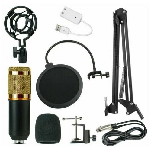 Микрофон студийный конденсаторный с креплением BM 800 черно-золотой 199000₽