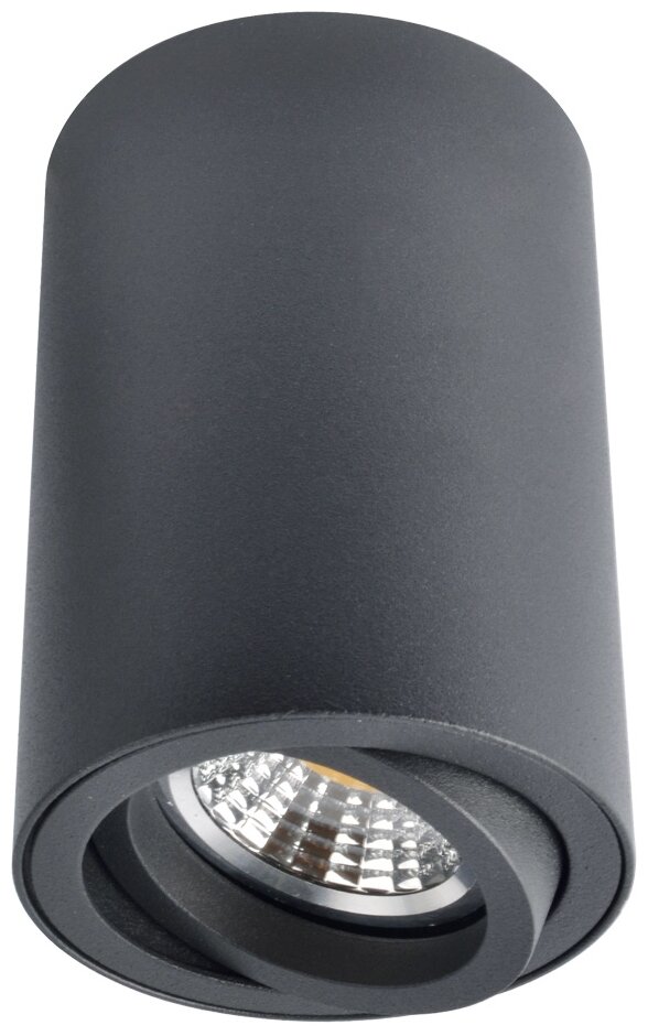 Потолочный накладной светильник Arte Lamp SENTRY A1560PL-1BK