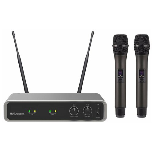 Радиосистема на два микрофона B G IU-208F 855200₽