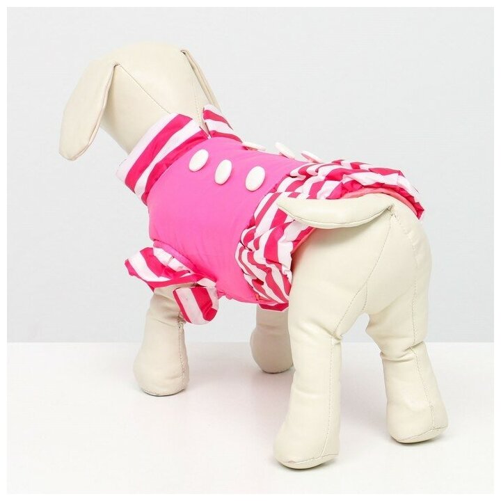 Куртка для собак КНР с воланами, размер 6, спинка 43 см, шея 44 см, грудь 60 см, розовая - фотография № 3