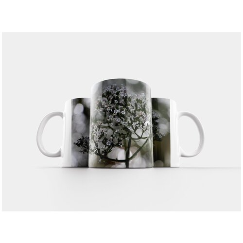 фото Кружка "цветок, полевые цветы, летний цветок" 320 мл lotsprints