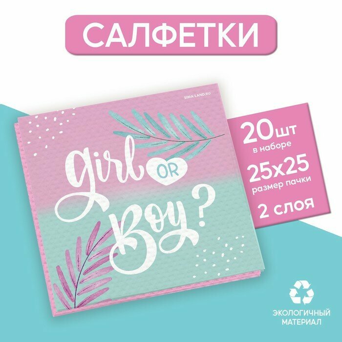 Бумажные салфетки Страна Карнавалия "Girl or Boy", 25х25 см, 20 шт