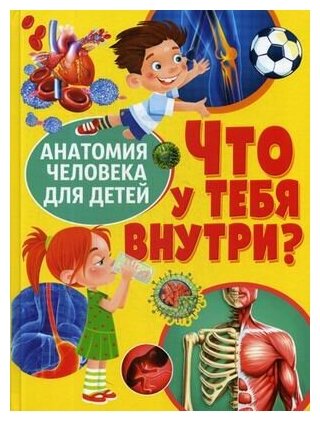 Что у тебя внутри Анатомия человека для детей Энциклопедия Феданова Ю 6+