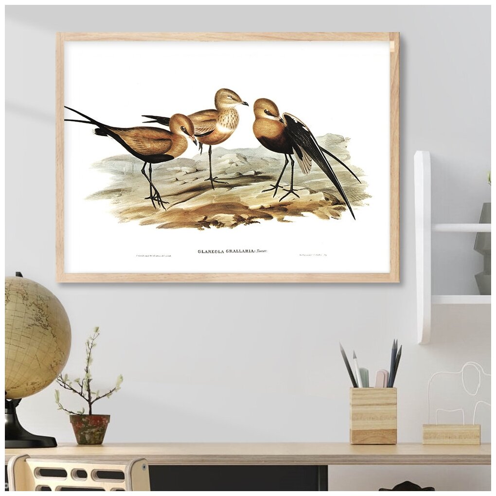 Постер "Птицы иллюстрация" без рамы 50x70 см на стену для интерьера