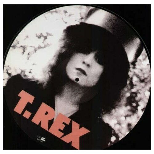 T. Rex - The Slider - Picture Vinyl