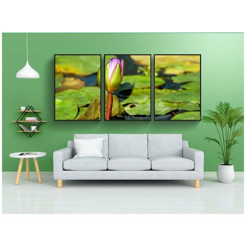фото Набор модулных постеров для интерьера "водяная лилия, бутон, водное растение" 60x90 см. в тубусе, без рамки lotsprints