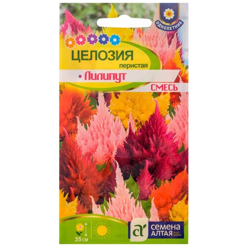Семена цветов Целозия Лилипут смесь перистая, О, цп, 0,1 г семена цветов целозия лилипут смесь перистая о цп 0 1 г