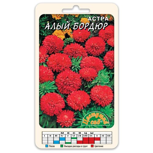 Цветы Астра Бордюр Алый (Семена Цветущий сад 0,2 г) астра бордюр розовый семена цветы