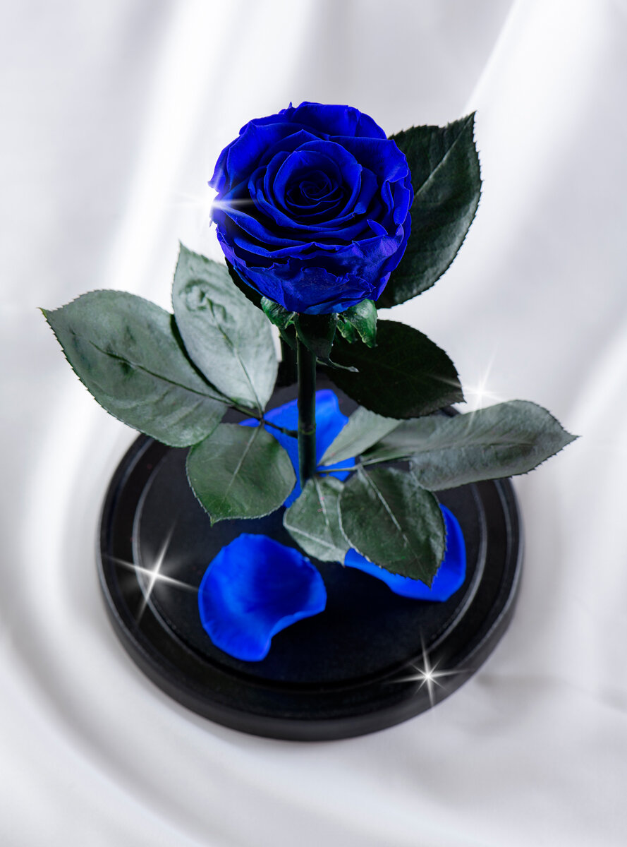 Живая Роза в колбе TheRoseDome Premium, цветок в колбе, вечная роза, подарок, декор для интерьера, цвет: синяя