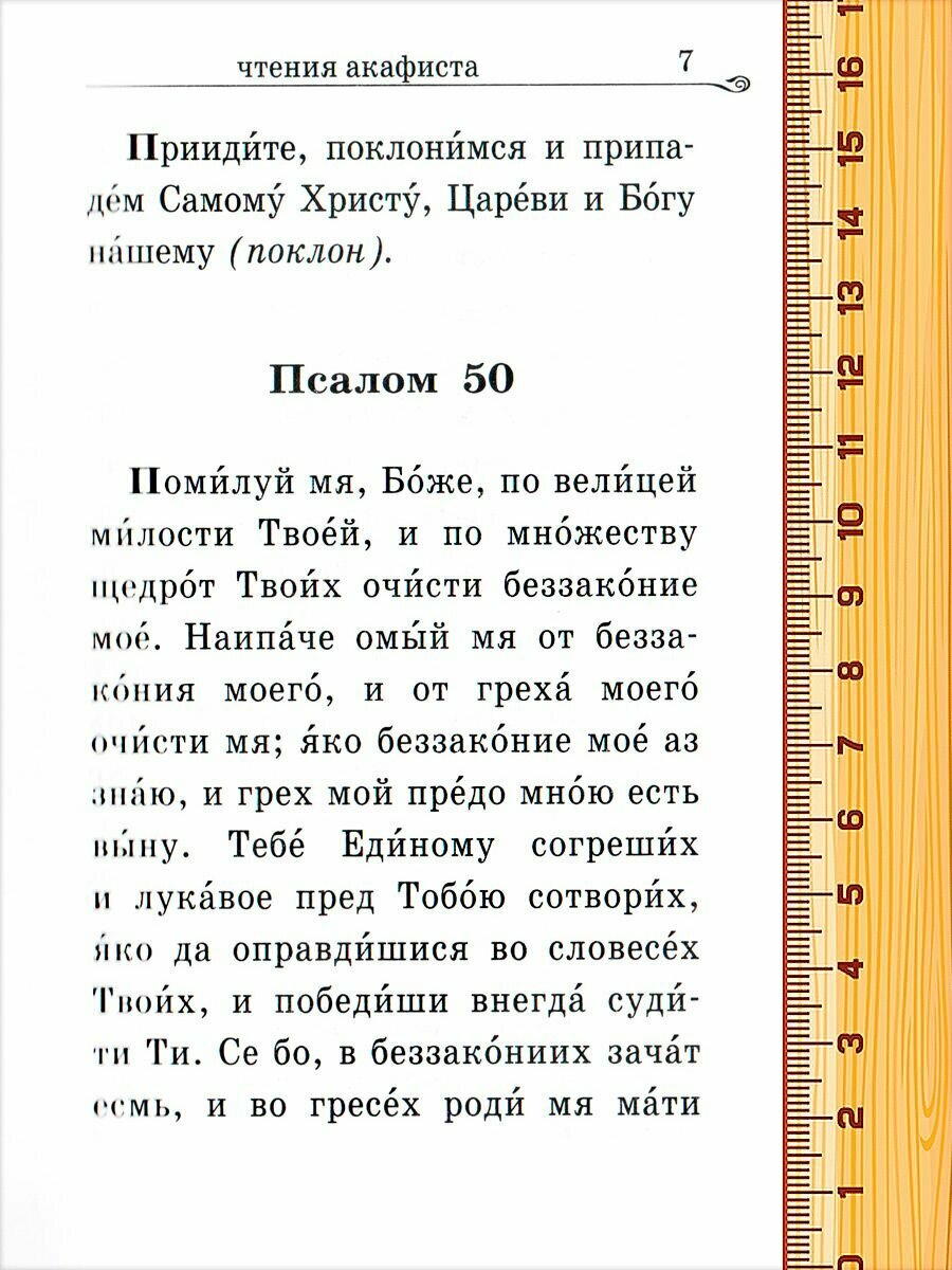 Акафистник за Отечество "Щит земли Русской" - фото №5