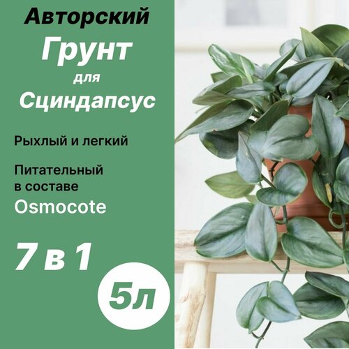 Грунт для Сциндапсуса 5л Бионика 849₽