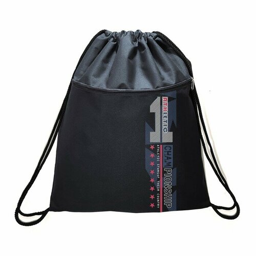 Мешок для обуви с карманом 480 х 390 мм Stavia плотность 600D с водоотталкивающей ПУ-пропиткой Чемпион 1153₽