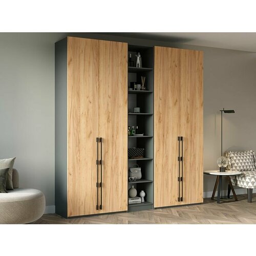 Шкаф распашной для одежды 