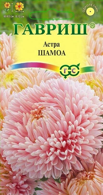 Семена Астра Шамоа пионовидная 03г Одн 65см (Гавриш)