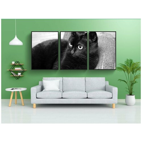 фото Набор модулных постеров для интерьера "кот, черный кот, взгляд" 60x90 см. в тубусе, без рамки lotsprints
