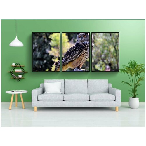 фото Набор модулных постеров для интерьера "сова-real, хищные-ночные, хищные птицы" 60x90 см. в тубусе, без рамки lotsprints