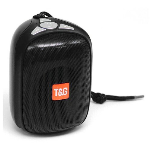 Беспроводная колонка TG TG-609 черный 82400₽