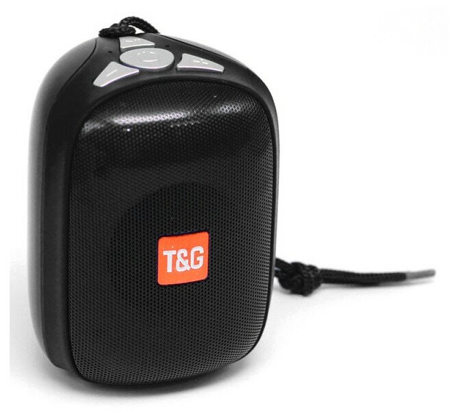 Беспроводная колонка T&G TG-609 черный