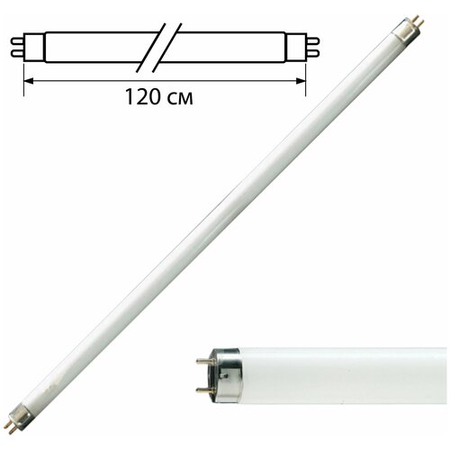 Лампа люминесцентная PHILIPS TL-D 36W/54-765, 36 Вт, цоколь G13, в виде трубки 120 см, холодный дневной свет, 815849