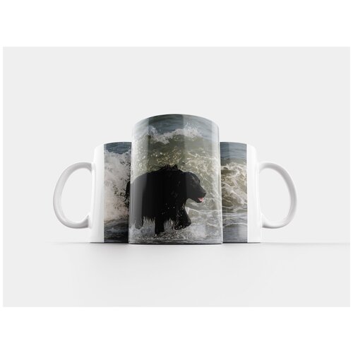 фото Кружка "ретривер с плоской шерстью, вода, волны" 320 мл lotsprints