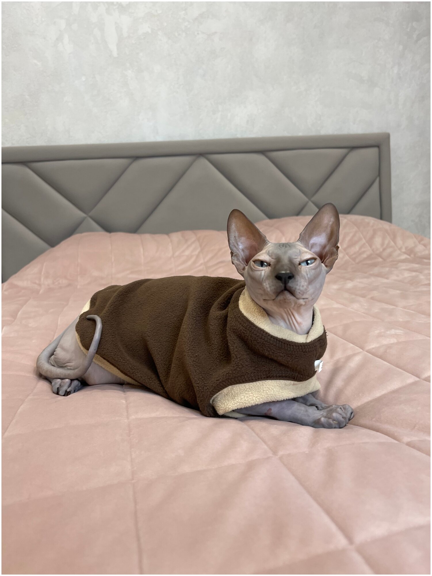 Флисовый жилет для кошек, коричнево-бежевый, М - фотография № 2