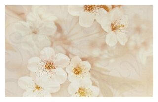 фото Шахтинская плитка Сакура кор декор 04 250х400 (1-й сорт) / Упаковка - 1 шт