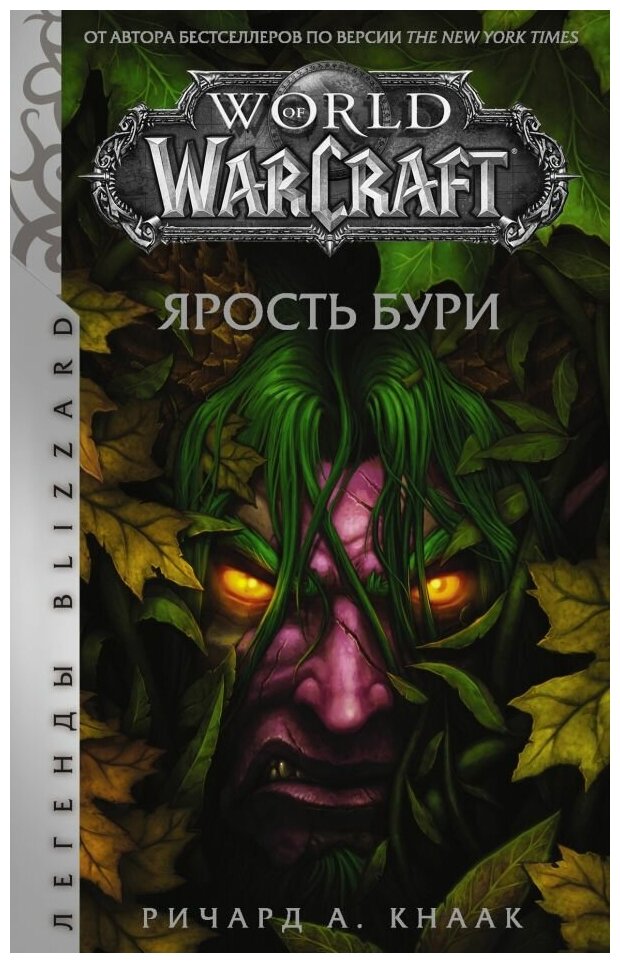 World of Warcraft: Ярость Бури