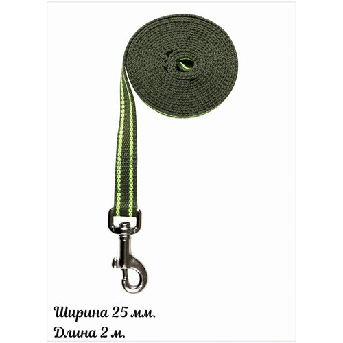 Брезентовый поводок с карабином 2 м. ширина 25 мм