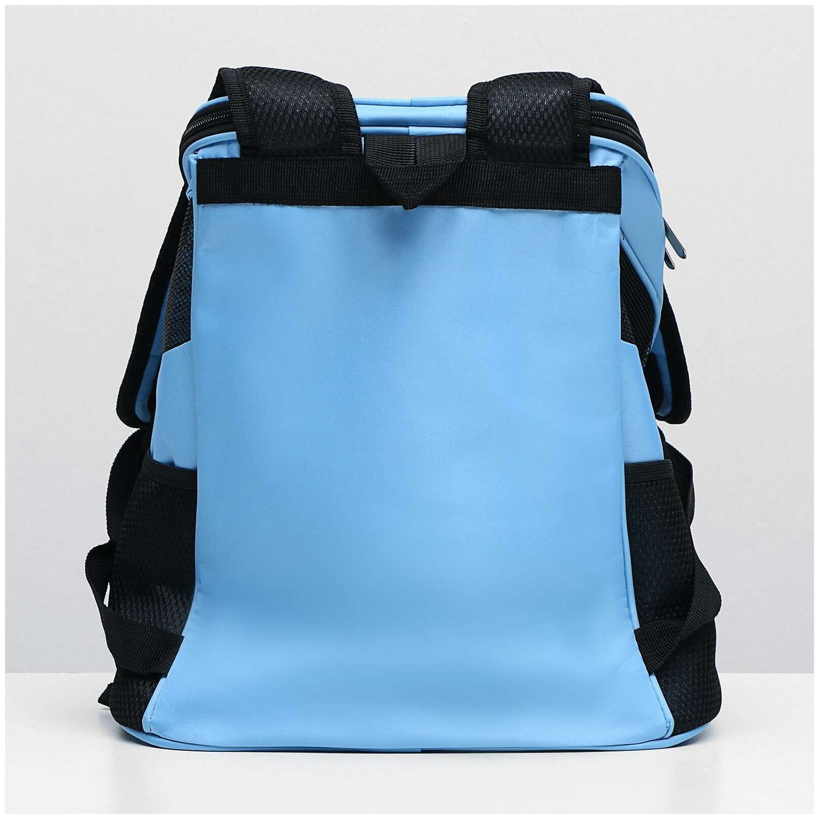 Рюкзак для переноски животных, 31,5 х 25 х 33 см, голубой 5266376 - фотография № 14