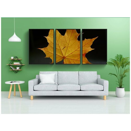 фото Набор модулных постеров для интерьера "кленовый лист, лист, раскраска" 60x90 см. в тубусе, без рамки lotsprints