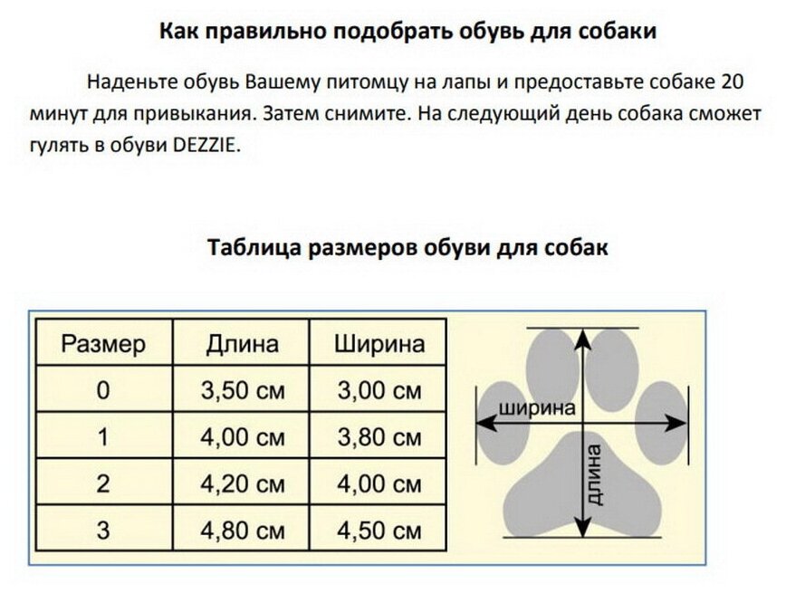 5633253, Обувь DEZZIE для собак - фотография № 2