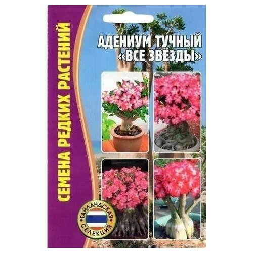 Адениум Все звезды - редкие семена, 3 штуки в упаковке редкие растения адениум черное болото 3 семян в упаковке