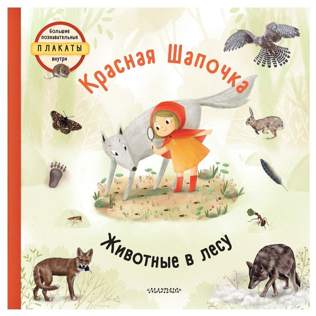 Красная шапочка (Секанинова Степанка, Седлачкова Яна) - фото №1