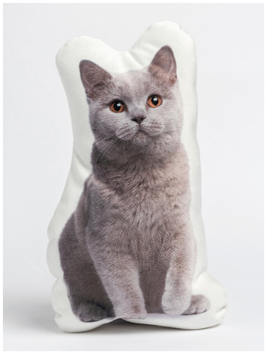 Подушка Британский кот - фотография № 1