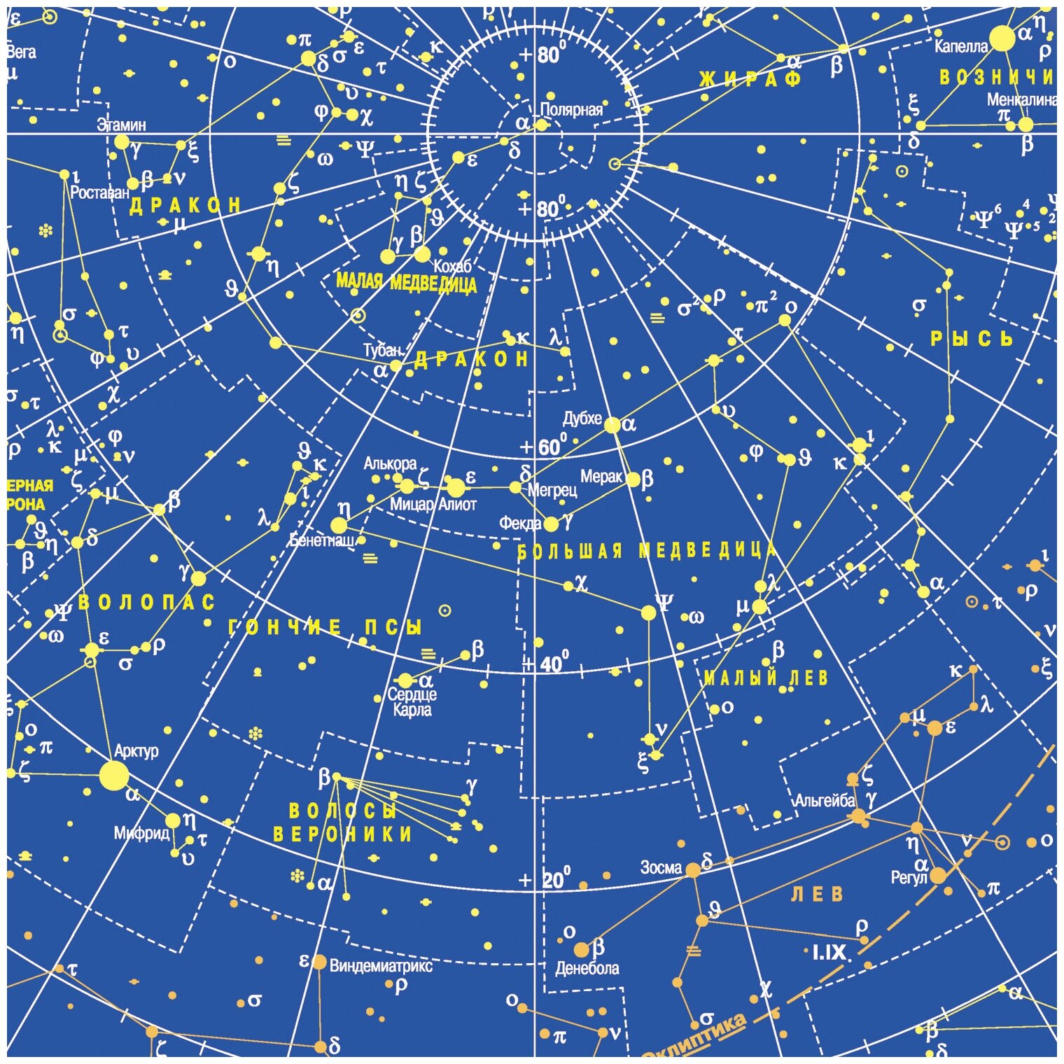 Карта звездного неба на картоне.