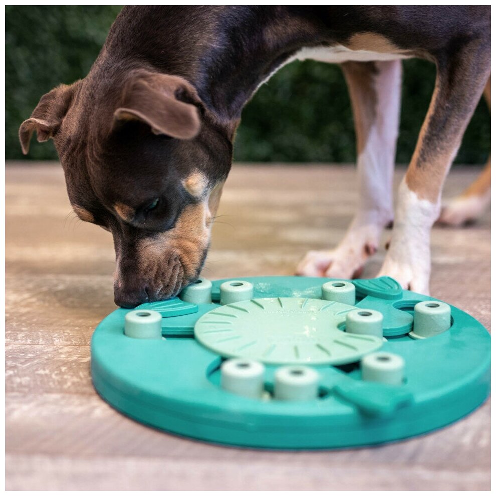 Игра-головоломка Nina Ottosson Worker для собак, 3 уровень сложности (продвинутый) - фотография № 10