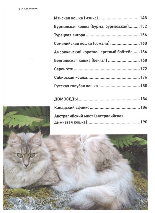 Все породы кошек. Большая иллюстрированная энциклопедия - фото №6