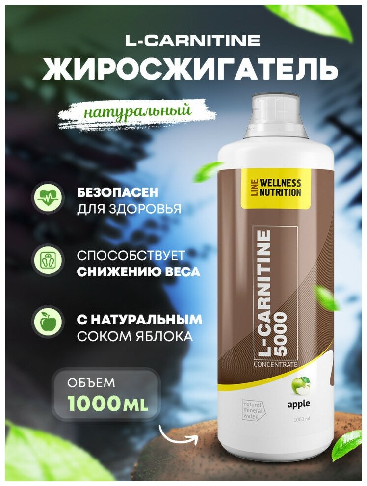 Wellness Line L-Carnitine 5000 (1000 мл)