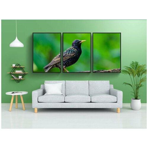 фото Набор модулных постеров для интерьера "скворец, птица, филиал" 60x90 см. в тубусе, без рамки lotsprints