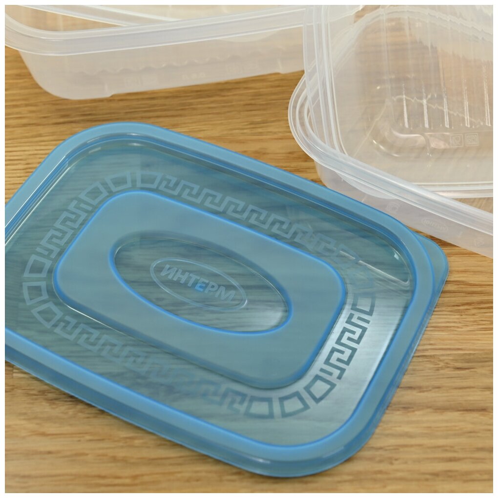 Набор контейнеров 6 шт (2х0.4л, 2х0.8л, 2х1.6л) для холодных и горячих продуктов, цвет голубой - фотография № 10