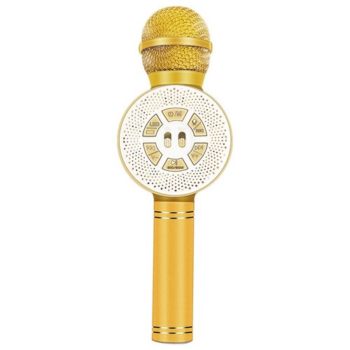 Караоке-микрофон для живого вокала 144700₽
