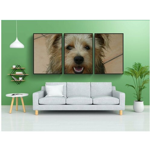 фото Набор модулных постеров для интерьера "собака, терьер, смешивание" 60x90 см. в тубусе, без рамки lotsprints